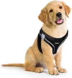 Topmast Airmesh Hondentuig - Click & Go - Petrol - L - Reflecterend - Harnas Hond - Hondentuigje - Hondenharnas - Voor Puppy, Kleine, Medium En Grote Hond -Hondenartikelen Winkel 1104x1200 6