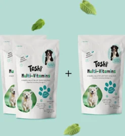 Toshi Multi Vitaminen Met Omega-3 - 100% Natuurlijke Hondensnack Voor Kleine En Grote Honden - Hondenkoekjes Voor Een Gezonde Levensstijl -Hondenartikelen Winkel 1108x1200