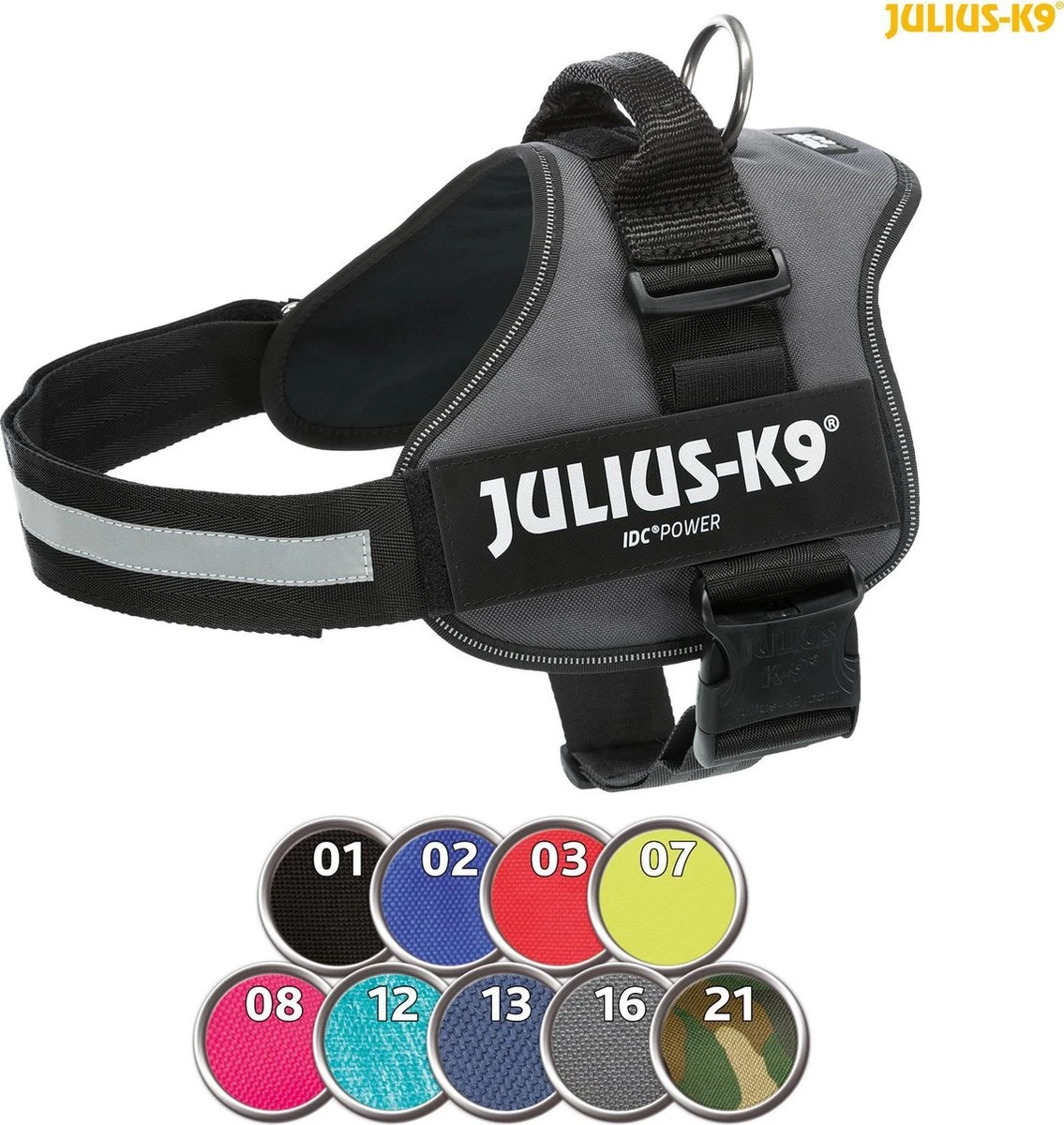 Julius K9 Original Powertuig/Harnas - Fuchsia - M - Maat 0/58-76cm 2 Julius K9 Original Powertuig/Harnas - Fuchsia - M - Maat 0/58-76cm - Afbeelding 2