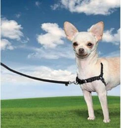 PetSafe Easy Walk® - Hondentuigje - Zwart - L - 66-91 Cm -Hondenartikelen Winkel 1138x1200 5