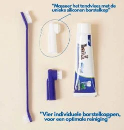 Hond En Kat Tandenborstel Verzorgingsset - Inclusief Tandpasta Met Beefsmaak - Vier Unieke Reinigingsborstels - Fluoride Vrij -Hondenartikelen Winkel 1142x1200 3