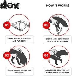 DDOXX Hondenharnas Nylon, Step-In, Verstelbaar, Uitbraakbestendig | Voor Kleine, Middelgrote & Grote Honden | Borstharnas Hond Kat Puppy Auto | Puppy Harnas Kat Harnas | Rood, S 12 DDOXX Hondenharnas Nylon, Step-In, Verstelbaar, Uitbraakbestendig | Voor Kleine, Middelgrote & Grote Honden | Borstharnas Hond Kat Puppy Auto | Puppy Harnas Kat Harnas | Rood, S -Hondenartikelen Winkel 1142x1200 4