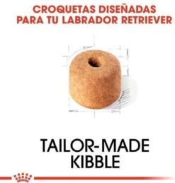 Royal Canin Labrador Retriever Adult 12 KG 24 Royal Canin Labrador Retriever Adult 12 KG -Hondenartikelen Winkel 1146x1200 5