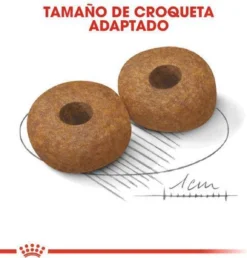 Royal Canin Medium Ageing 10+ - Hondenvoer - 15 Kg 22 Royal Canin Medium Ageing 10+ - Hondenvoer - 15 Kg -Hondenartikelen Winkel 1149x1200 1