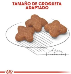 Royal Canin Mini Adult +8 8 KG 27 Royal Canin Mini Adult +8 8 KG -Hondenartikelen Winkel 1149x1200 2