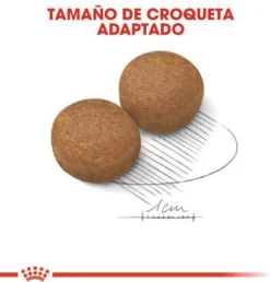 Royal Canin Maxi Adult 5+ Jaar Oud - Hondenvoer - 15 Kg -Hondenartikelen Winkel 1149x1200 6