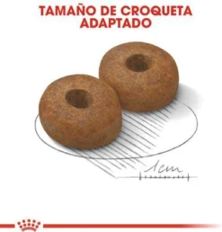 Royal Canin Maxi Ageing 8+ 15 KG 25 Royal Canin Maxi Ageing 8+ 15 KG -Hondenartikelen Winkel 1149x1200 7