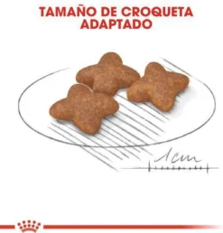 Royal Canin Mini Adult 8 KG 27 Royal Canin Mini Adult 8 KG -Hondenartikelen Winkel 1149x1200 8