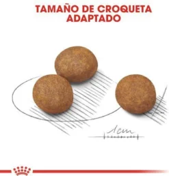 Royal Canin Maxi Puppy 4 KG 29 Royal Canin Maxi Puppy 4 KG -Hondenartikelen Winkel 1151x1200