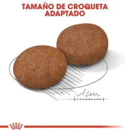 Royal Canin Medium Adult 7+ 15 KG -Hondenartikelen Winkel 1154x1200 2