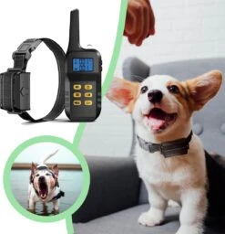 Anti Blafband Met Afstandsbediening - Blafband Voor Honden - Anti Blaf Apparaat Zonder Schok - Twee In Een Trainingshalsband 13 Anti Blafband Met Afstandsbediening - Blafband Voor Honden - Anti Blaf Apparaat Zonder Schok - Twee In Een Trainingshalsband -Hondenartikelen Winkel 1156x1200 9