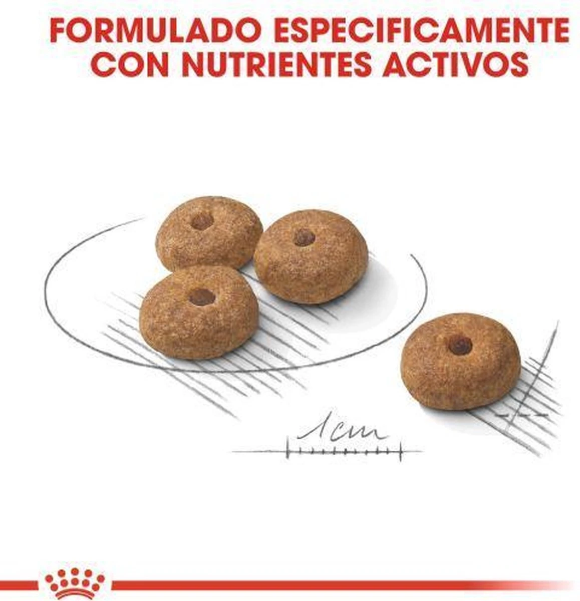 Royal Canin Mini Sterilised 8 KG 8 Royal Canin Mini Sterilised 8 KG - Afbeelding 8