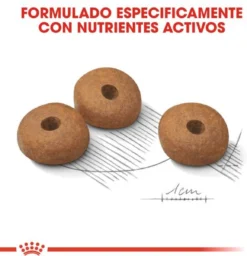 Royal Canin Light Weight Care Medium - Hondenvoer - 12 Kg -Hondenartikelen Winkel 1158x1200 6