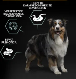 Pro Plan Graanvrij Medium & Large Adult Sensitive Digestion - Honden Droogvoer- Kalkoen - 12 Kg -Hondenartikelen Winkel 1160x1200 1