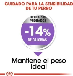 Royal Canin Mini Sterilised 8 KG 20 Royal Canin Mini Sterilised 8 KG -Hondenartikelen Winkel 1161x1200 1