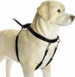 Beeztees Gentle Walker - Hondentuig - Zwart - L -Hondenartikelen Winkel 1166x1200 12