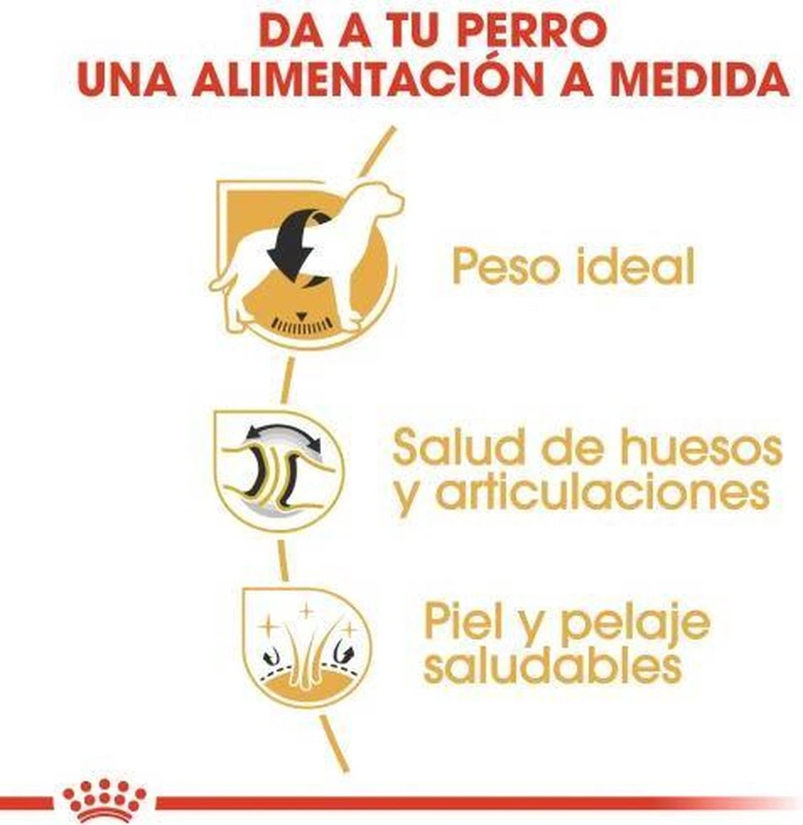 Royal Canin Labrador Retriever Adult 12 KG 8 Royal Canin Labrador Retriever Adult 12 KG - Afbeelding 8