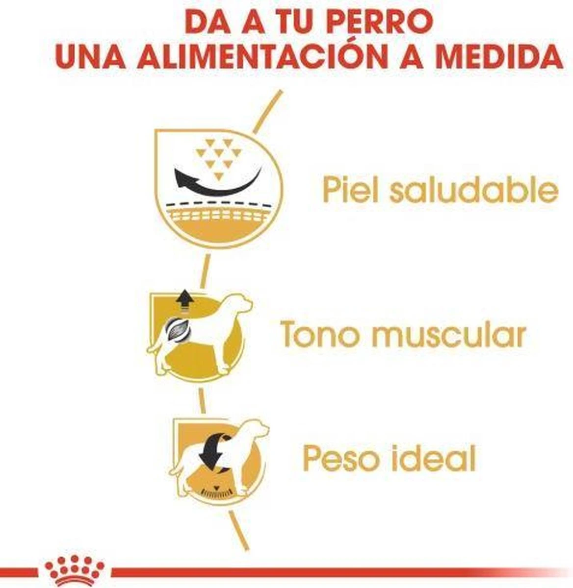 Royal Canin Mopshond/Pug Adult - Hondenvoer - 3 Kg 6 Royal Canin Mopshond/Pug Adult - Hondenvoer - 3 Kg - Afbeelding 6