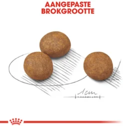 Royal Canin Maxi Junior - Hondenvoer - 10 Kg -Hondenartikelen Winkel 1170x1200 1