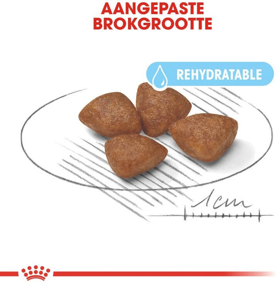 Royal Canin Mini Starter Mother & Babydog - Puppy-Hondenvoer - 8 Kg 2 Royal Canin Mini Starter Mother & Babydog - Puppy-Hondenvoer - 8 Kg - Afbeelding 2