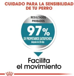 Royal Canin Ccn Joint Care Maxi - Hondenvoer - 10 Kg -Hondenartikelen Winkel 1171x1200