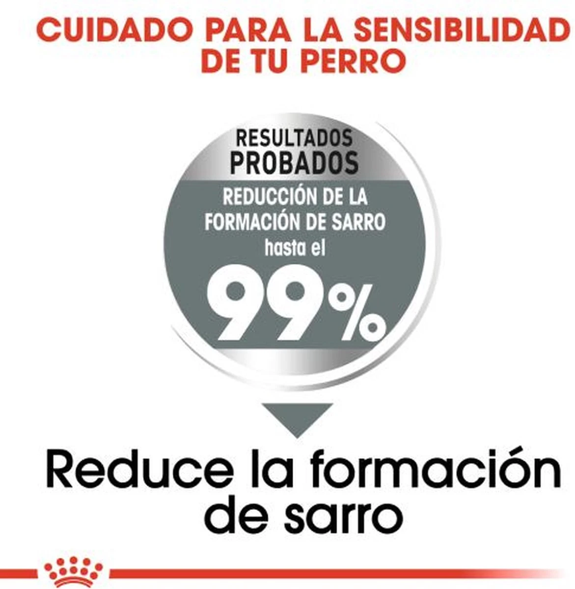 Royal Canin Medium Dental Care - 10 Kg 6 Royal Canin Medium Dental Care - 10 Kg - Afbeelding 6