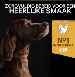 Pro Plan Everyday Nutrition Large Athletic Adult - Honden Droogvoer - Kip - 14 Kg 24 Pro Plan Everyday Nutrition Large Athletic Adult - Honden Droogvoer - Kip - 14 Kg -Hondenartikelen Winkel 1172x1200 3