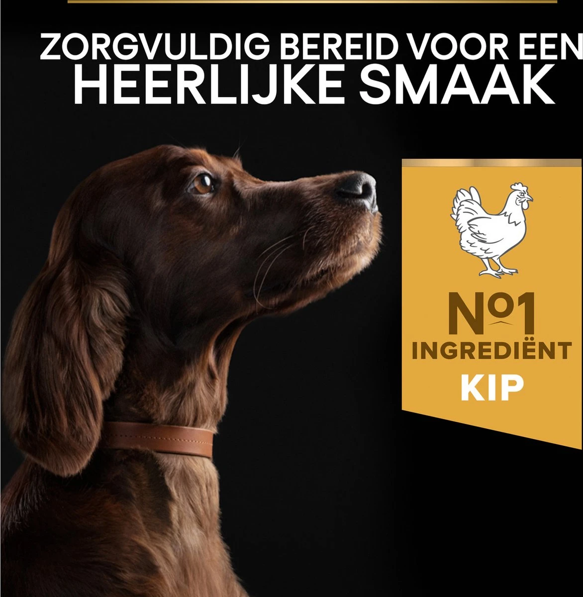 Pro Plan Everyday Nutrition Large Athletic Adult - Honden Droogvoer - Kip - 14 Kg 10 Pro Plan Everyday Nutrition Large Athletic Adult - Honden Droogvoer - Kip - 14 Kg - Afbeelding 10