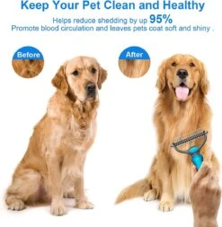 Igoods Professionele 2-Zijdige Ondervacht Kam Voor Hond En Kat - Hondenborstel – Kattenborstel -Hondenartikelen Winkel 1172x1200 8