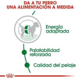 Royal Canin Mini Adult 8 KG 35 Royal Canin Mini Adult 8 KG -Hondenartikelen Winkel 1177x1200 4