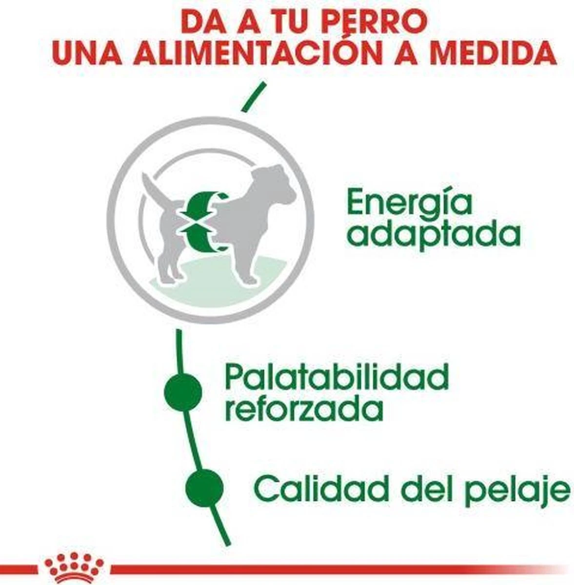 Royal Canin Mini Adult 8 KG 17 Royal Canin Mini Adult 8 KG - Afbeelding 17