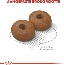 Royal Canin Maxi Ageing 8+ 15 KG 21 Royal Canin Maxi Ageing 8+ 15 KG -Hondenartikelen Winkel 1179x1200 8