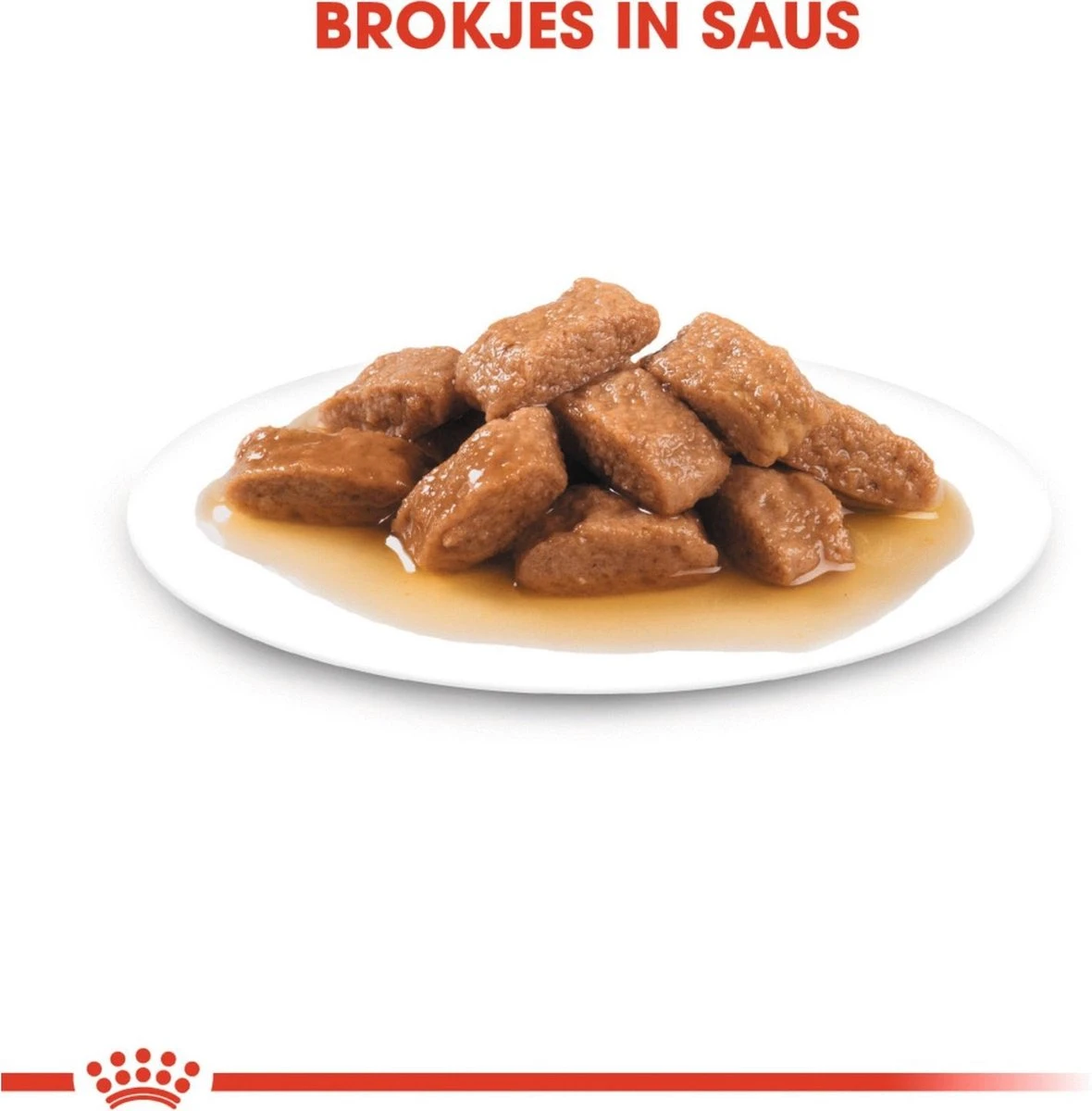 Royal Canin Shn Medium Adult Pouch - Hondenvoer - 10 X 140 G 3 Royal Canin Shn Medium Adult Pouch - Hondenvoer - 10 X 140 G - Afbeelding 3