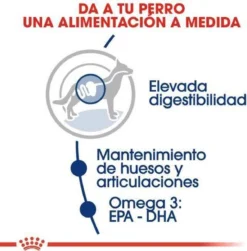 Royal Canin Maxi Adult 5+ Jaar Oud - Hondenvoer - 15 Kg -Hondenartikelen Winkel 1180x1200 5