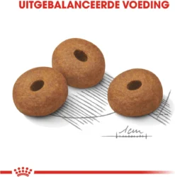 Royal Canin Light Weight Care Maxi - Hondenvoer - 12 Kg -Hondenartikelen Winkel 1181x1200 1