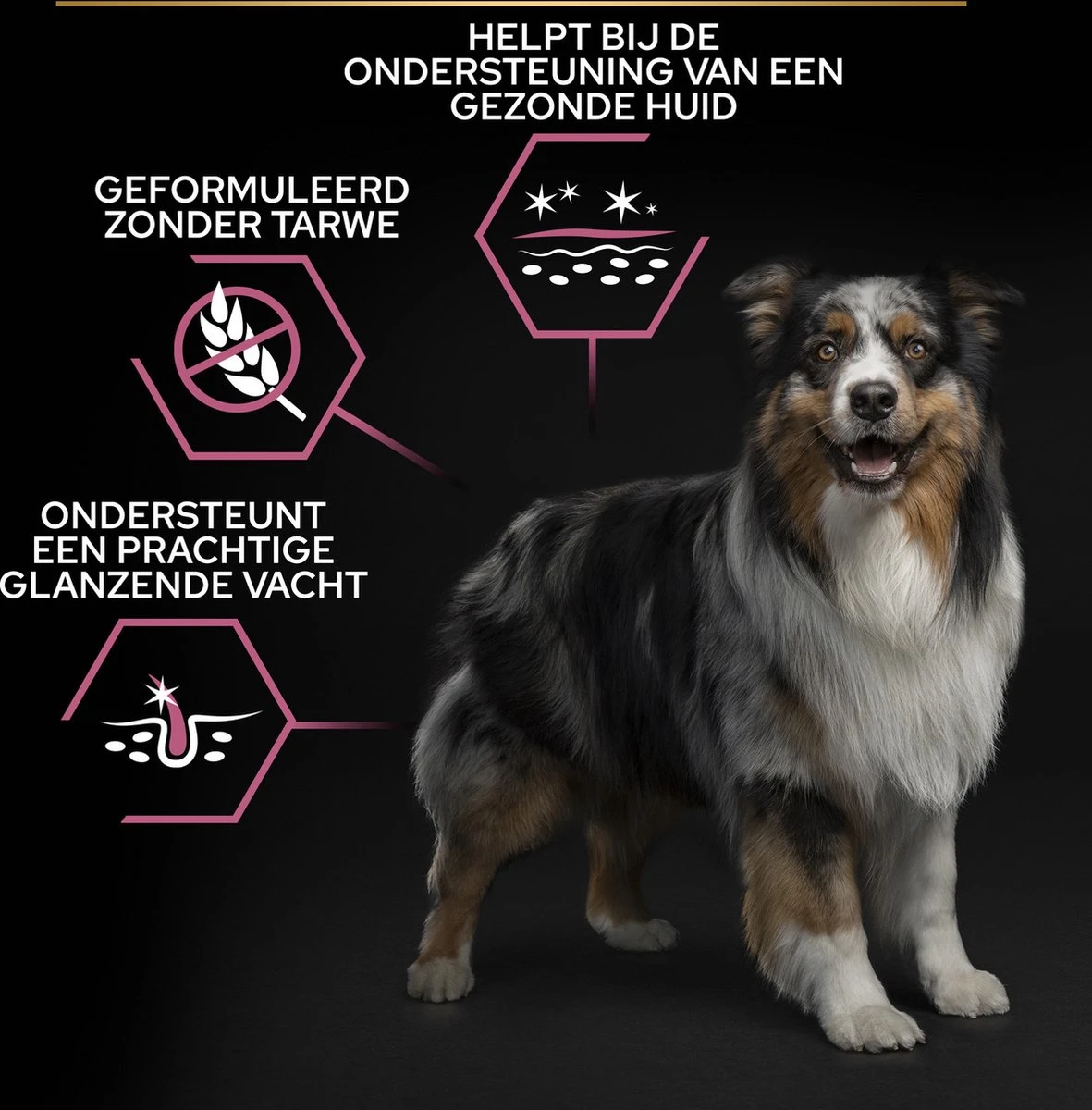 Pro Plan Medium Adult Sensitive Skin - Honden Droogvoer - Zalm - 14 Kg 13 Pro Plan Medium Adult Sensitive Skin - Honden Droogvoer - Zalm - 14 Kg - Afbeelding 13