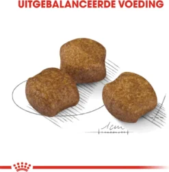 Royal Canin Medium Dental Care - 10 Kg 14 Royal Canin Medium Dental Care - 10 Kg -Hondenartikelen Winkel 1182x1200 1