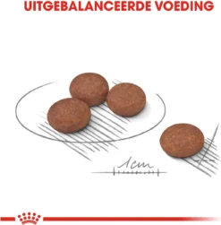 Royal Canin Ccn Digestive Care Mini - Hondenvoer - 3 Kg -Hondenartikelen Winkel 1182x1200 4