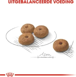 Royal Canin Mini Sterilised 8 KG 17 Royal Canin Mini Sterilised 8 KG -Hondenartikelen Winkel 1183x1200 1