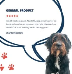 JC Pets Premium Pluizenborstel - Huisdierhaar Verwijderaar – Pluizenverwijderaar – Honden En Kattenhaar Verwijderaar - Ontpluizer - Pluizenroller -Hondenartikelen Winkel 1183x1200 5