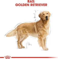 Royal Canin Golden Retriever 12 KG -Hondenartikelen Winkel 1184x1200 1