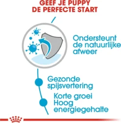 Royal Canin Shn Medium Puppy Pouch - Hondenvoer - 10 X 140 G -Hondenartikelen Winkel 1184x1200 5