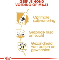 Royal Canin German Shepherd Adult 11 KG 14 Royal Canin German Shepherd Adult 11 KG -Hondenartikelen Winkel 1184x1200 6