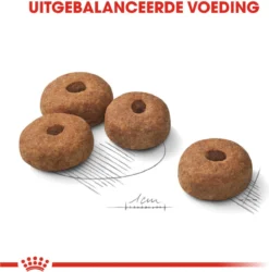 Royal Canin Sterilised Maxi - Hondenvoer - 12 Kg -Hondenartikelen Winkel 1184x1200 8