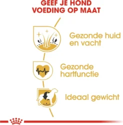 Royal Canin Golden Retriever 12 KG -Hondenartikelen Winkel 1185x1200 1