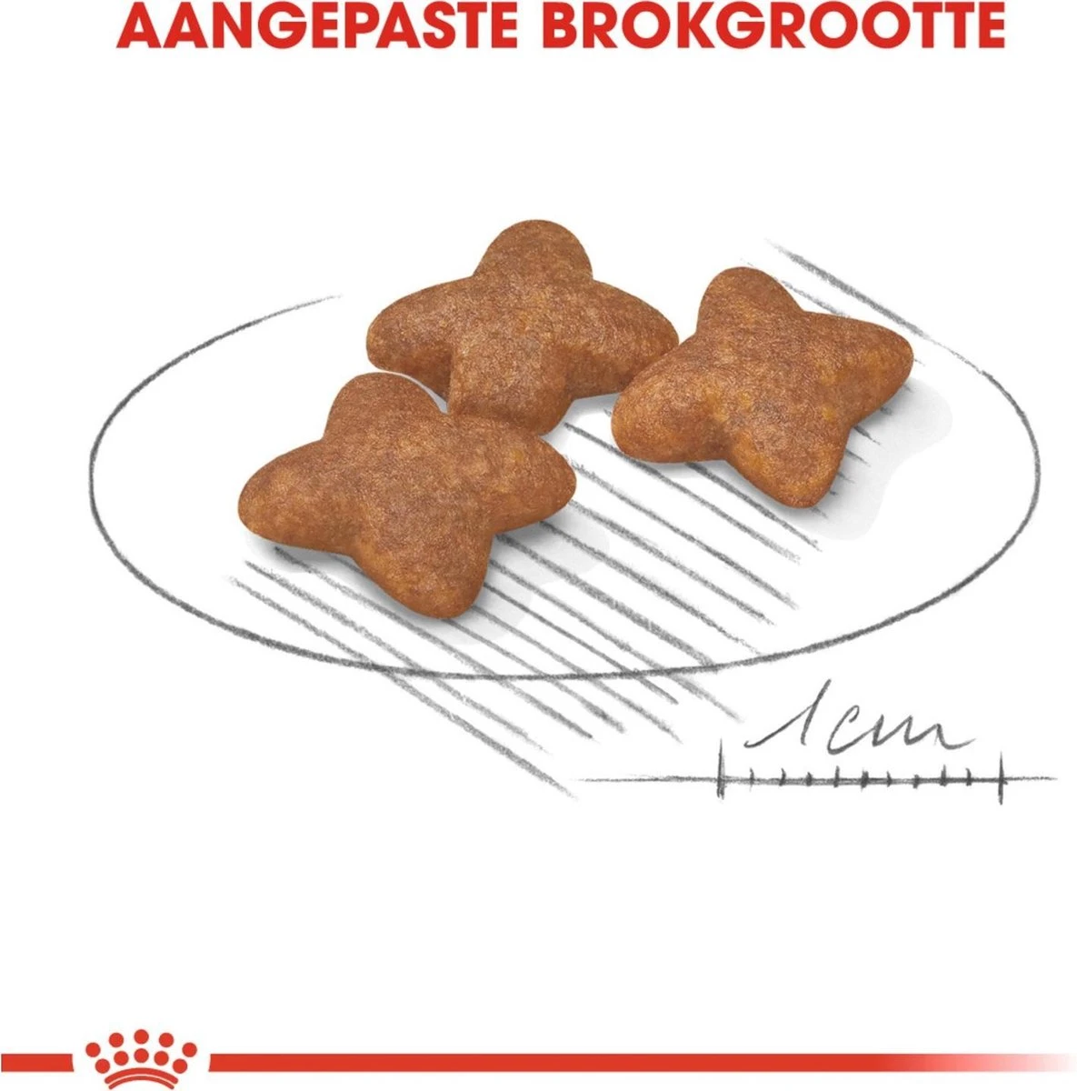 Royal Canin Mini Adult 8 KG 5 Royal Canin Mini Adult 8 KG - Afbeelding 5