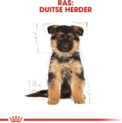 Royal Canin German Shepherd Puppy - Hondenvoer - 12 Kg 22 Royal Canin German Shepherd Puppy - Hondenvoer - 12 Kg -Hondenartikelen Winkel 1185x1200 3