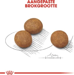 Royal Canin Maxi Puppy 4 KG 22 Royal Canin Maxi Puppy 4 KG -Hondenartikelen Winkel 1186x1200 1