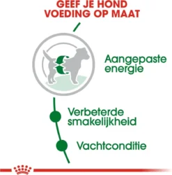 Royal Canin Mini Adult 8 KG 21 Royal Canin Mini Adult 8 KG -Hondenartikelen Winkel 1186x1200 11