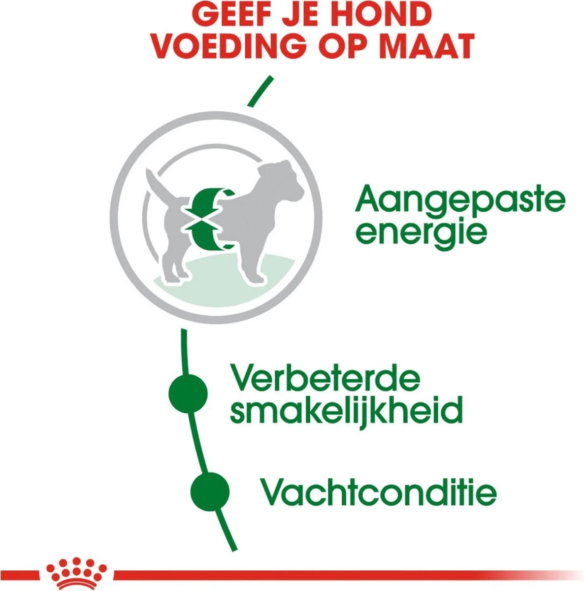 Royal Canin Mini Adult 8 KG 3 Royal Canin Mini Adult 8 KG - Afbeelding 3